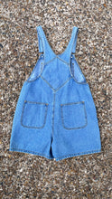 Load image into Gallery viewer, Vintage Disney Winnie the Pooh &amp; Tigger Animal Kingdom Overall Shorts Large
